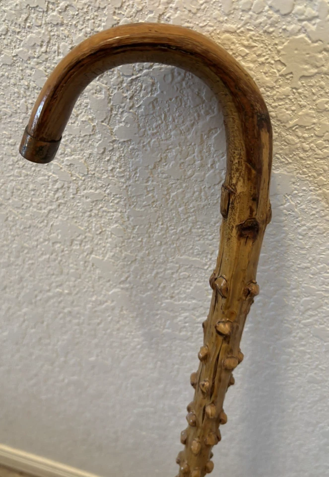 复古古董印度仙人掌民间艺术结节甘蔗步行克鲁克手柄甘蔗 34 — 第 2/4 张图片