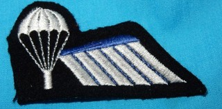 DUTCH HALF WING PARA PARACHUTE JUMP WINGS BADGE MILITARY PATCH NETHERLANDS