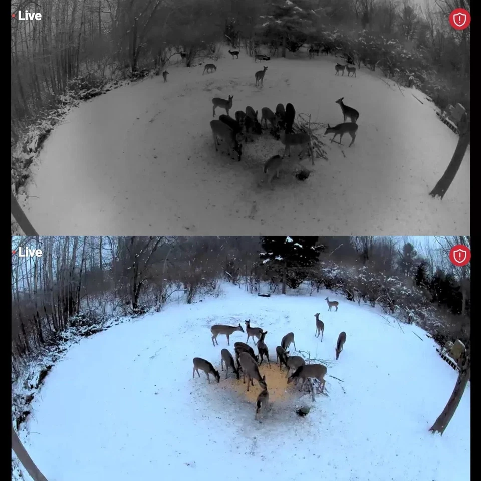 Arlo Ultra 2 XL Inalámbrico 4K HD 6 Cámara Foco Sistema de Seguridad SmartHub Blanco Foto 3 de 4