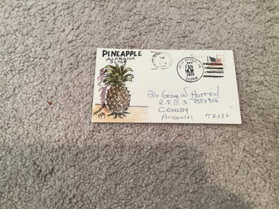 1970's PINEAPPLE alabama: signed FOLK ART WATERCOLOR Postal Cover GEORGE HARROD