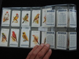 ONE COMPLETE SET REPRODUCTION CIGARETTE CARDS PLAYERS AVIARY AND CAGE BIRDS