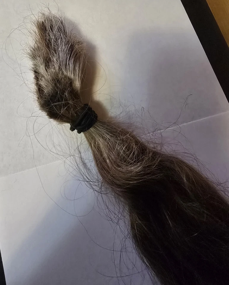 Cola de caballo cabello humano real rubia dorada (teñida) de más de 15", 38 gramos (o 1 3/8 oz) Foto 3 de 4