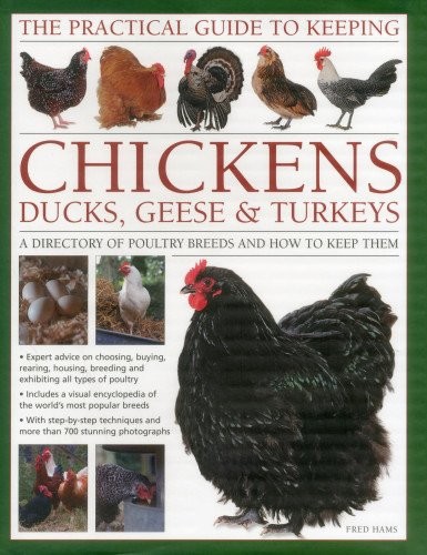 The Practical Guide to Keeping Chickens, Ducks, Geese & Turkeys: