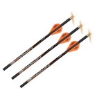 Ravin Crossbow Arrows With lighted Nocks 400grain (.003") 3 Pak Model # R133