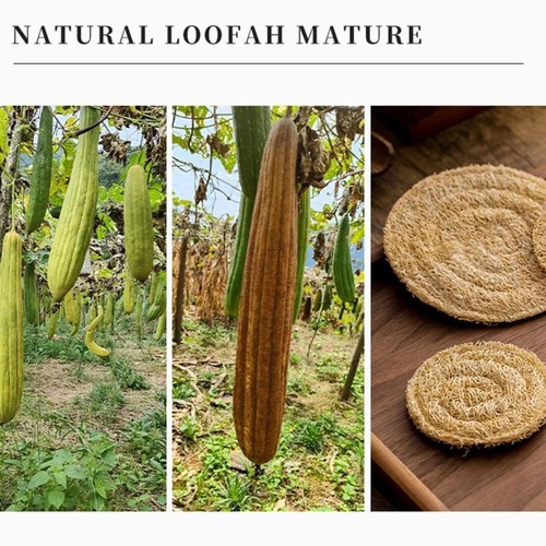 Loofah Fibre Teapot Pad Round Loofah Mat Teaware Tea Cup Mat Tea - Picture 9 of 16