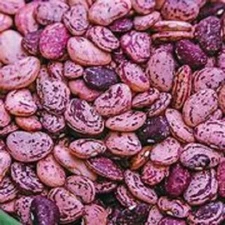 1/4 lb. Dixie Speckled Butterpea Seeds