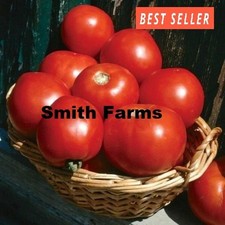 50 Seeds Basket Vee Tomato Planting Juicy Easy to Grow Vegetable Garden