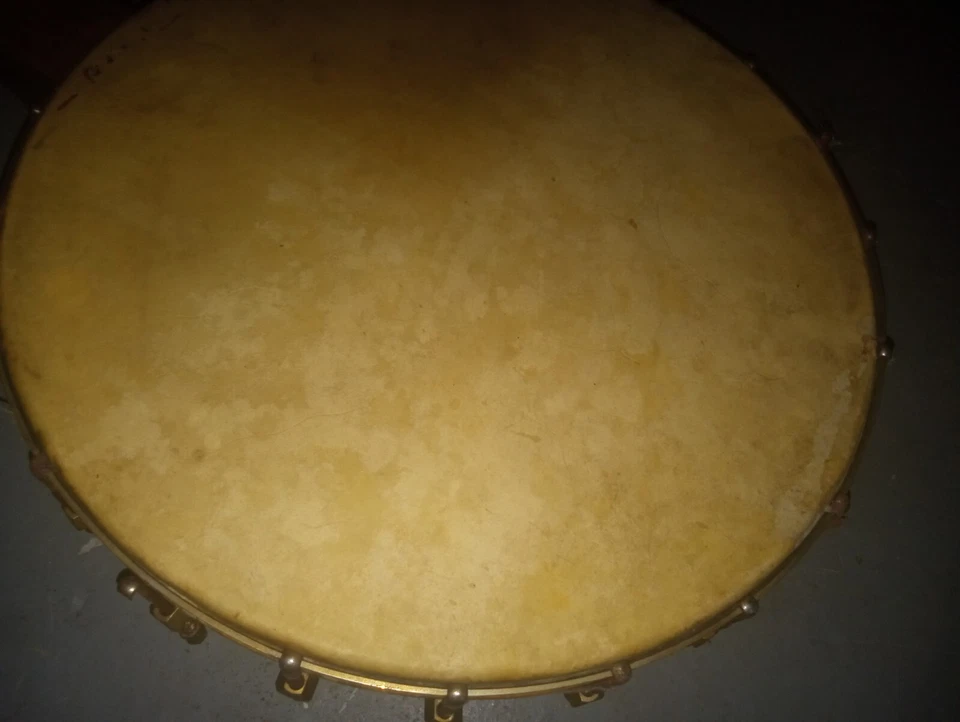 Banjo de piel de vaca años 20 Foto 2 de 4