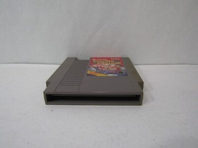 Nintendo NES Double Dragon (Damaged Boxed Complete W/ Manual)