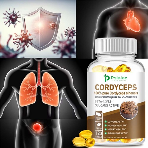 Cordyceps Sinensis 1000 mg – Herz- und Atemwegsgesundheit, Energieunterstützung