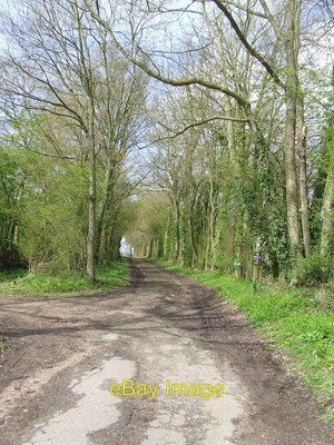 Photo 6x4 Bridleway Debenham Bridleway near to Wetherup Street, Suffolk. c2012