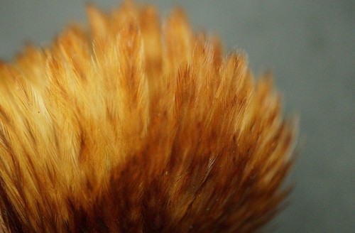 Keough Commercial Hen Ginger Cape/Neck Fly Tying/Crafts Lot-SF 327 - Picture 7 of 8