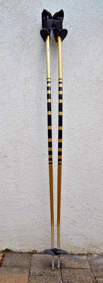 Robuste Schleppleine Für Hunde 10m - Deutsche Handarbeit Ohne Handschlaufe