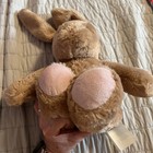 Build-A-Bear 2021 Easter Bunny 16” in tan & pink — photo 3