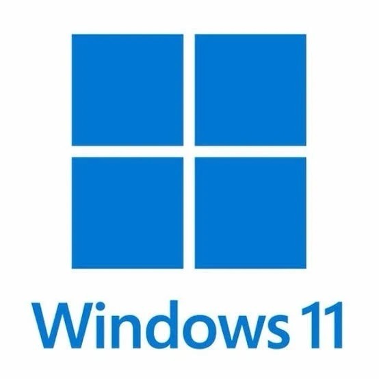 Windows 11 Pro Key OEM Perpetual License