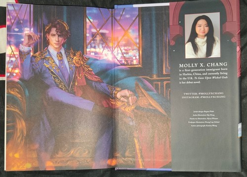 To Gaze Upon Wicked Gods by Molly X. Chang - Illumicrate Exclusive Edition - New - Picture 8 of 10