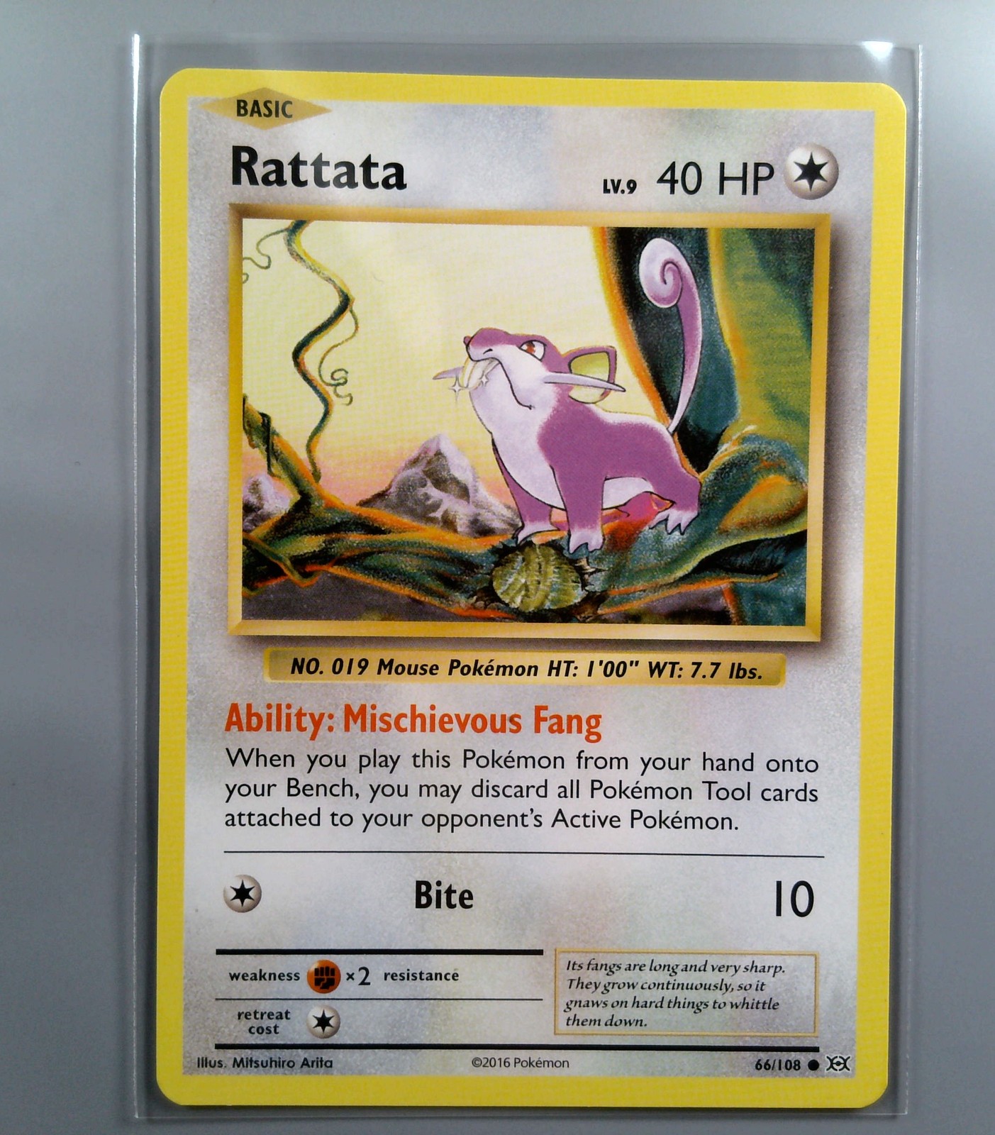 Pokemon TCG Rattata 66/108 XY Evolutions LP