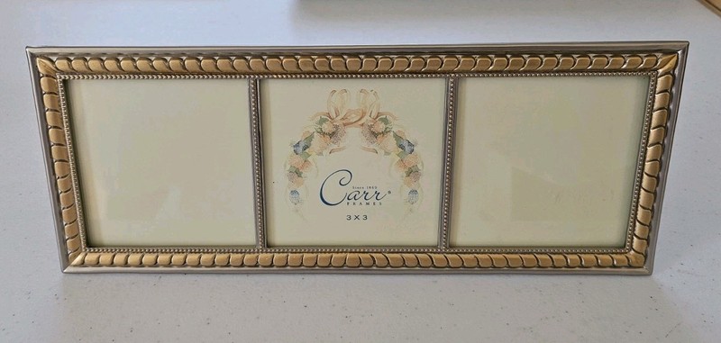 Carr Frames 3x3 Boudoir Gold/Silver Rope