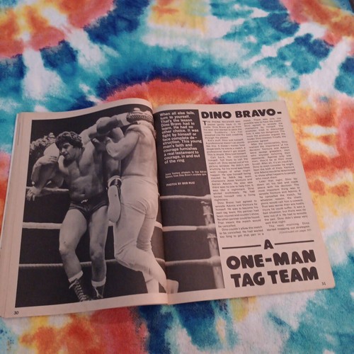 Inside Wrestling Magazine February 1981 Ted DiBiase Bob BACKLUND/ Cover - Picture 13 of 20
