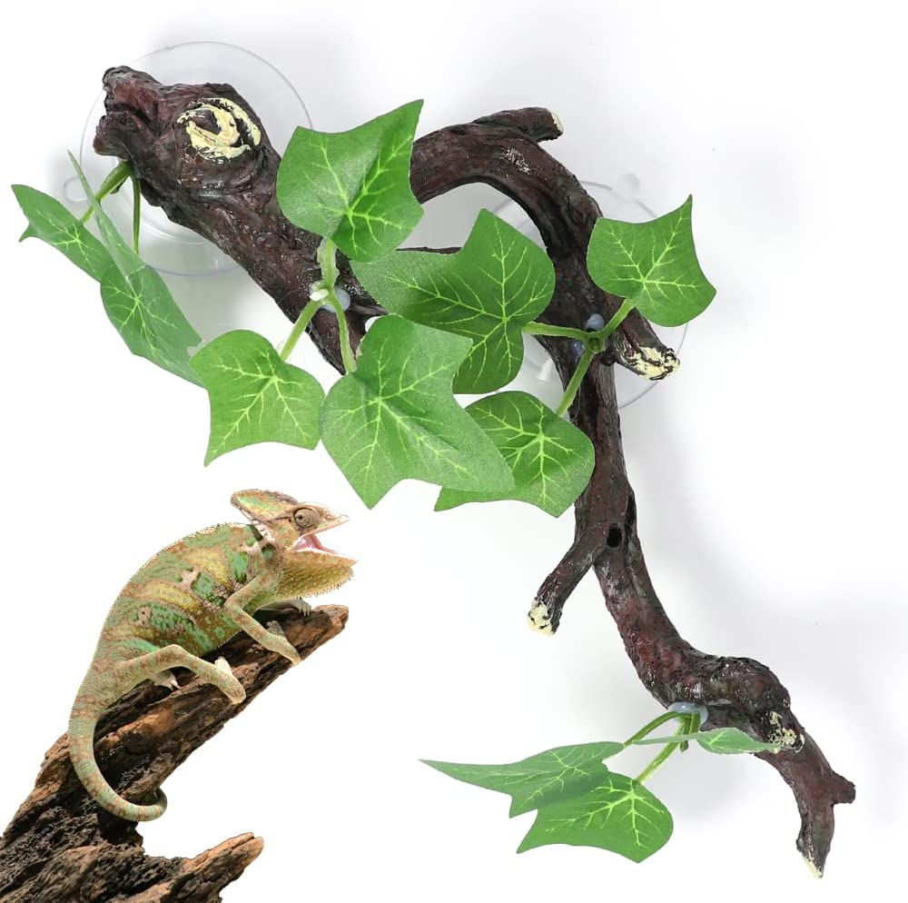 gecko terrarium accessories