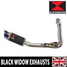 Daytona 660 2024 - 2025 Exhaust System Silencer End Can BL20R