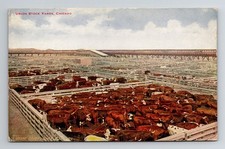 Postcard Chicago, Illinois - Union Stock Yards - circa 1907-1915