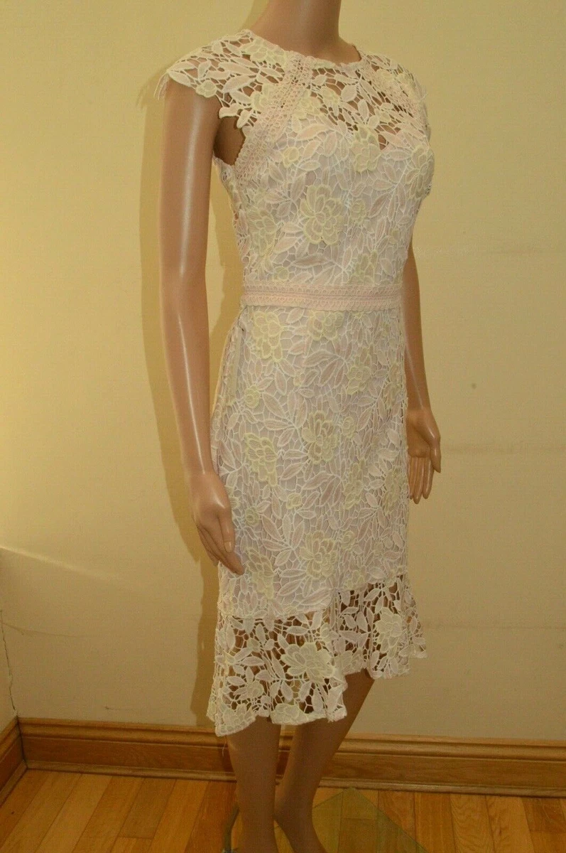 Lipsy two tone lace dress clearance