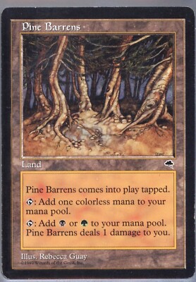 MTG MAGIC: PINE BARRENS ENGLISCHSPRACHIGE KARTE (699)