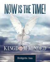 Bridgette Ann | Now Is The Time! | Taschenbuch | Englisch (2011) | Westbow Press