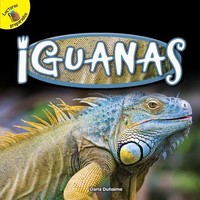 Darla Duhaime | Iguanas | Taschenbuch | Englisch (2026) | Gebunden