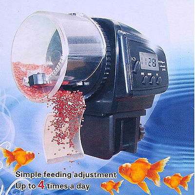 automatic feeder for turtle tank