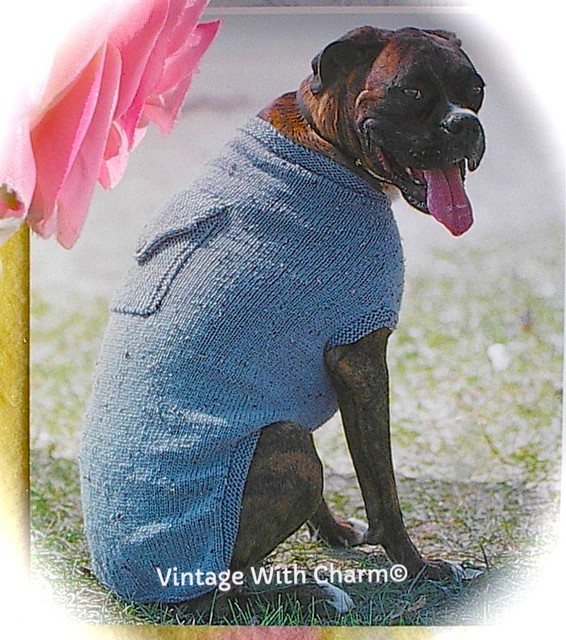 boxer dog knitting pattern