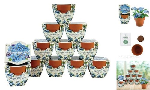 Seeds Terracotta Mini Grow Pots | Herb, Plant, Flower Starter Kit for Kids &