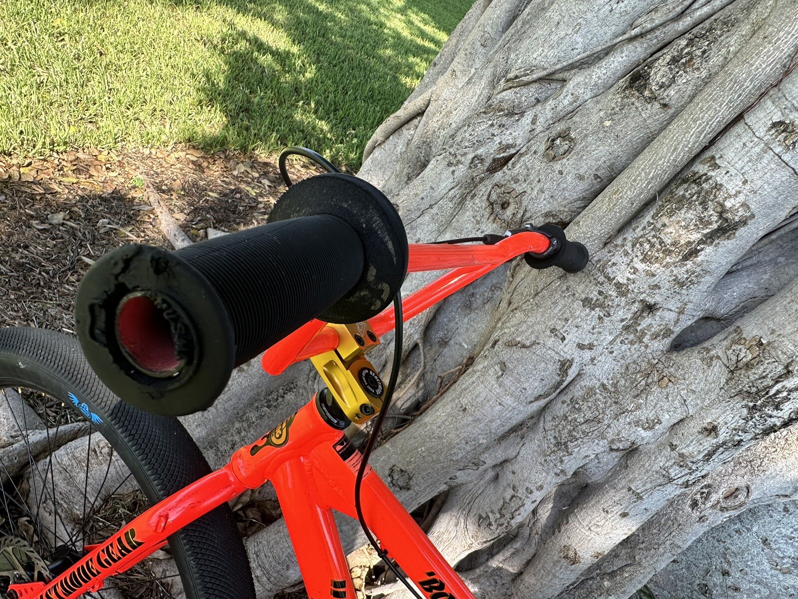Picture 6 of 17