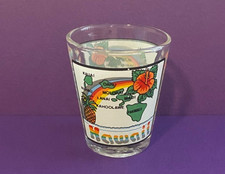 Vintage Shot Glass ~ Souvenir of Hawaiian Islands ~ Rainbow | Flower | Pineapple