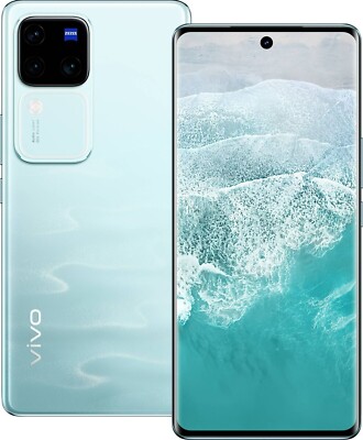 vivo V30 12GB RAM 512GB グローバル版 Vivo V30 512GB 12GB RAM V2318 (FACTORY UNLOCKED) 6.78