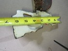 Picture 11 of 13
