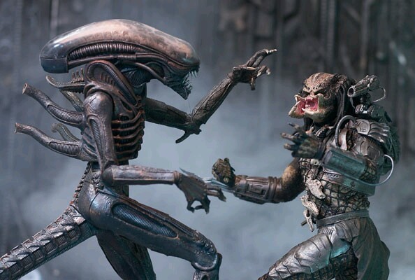 SF・ファンタジー・ホラー Transforming Action Set AILENS PREDATOR Aliens vs Predator Alien Warrior S.h.monster Arts Action Figure