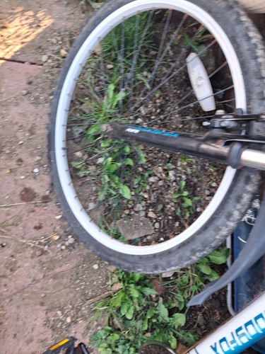 Muddyfox Flare 26" Mountain Bike - turquoise and white - Picture 10 of 14