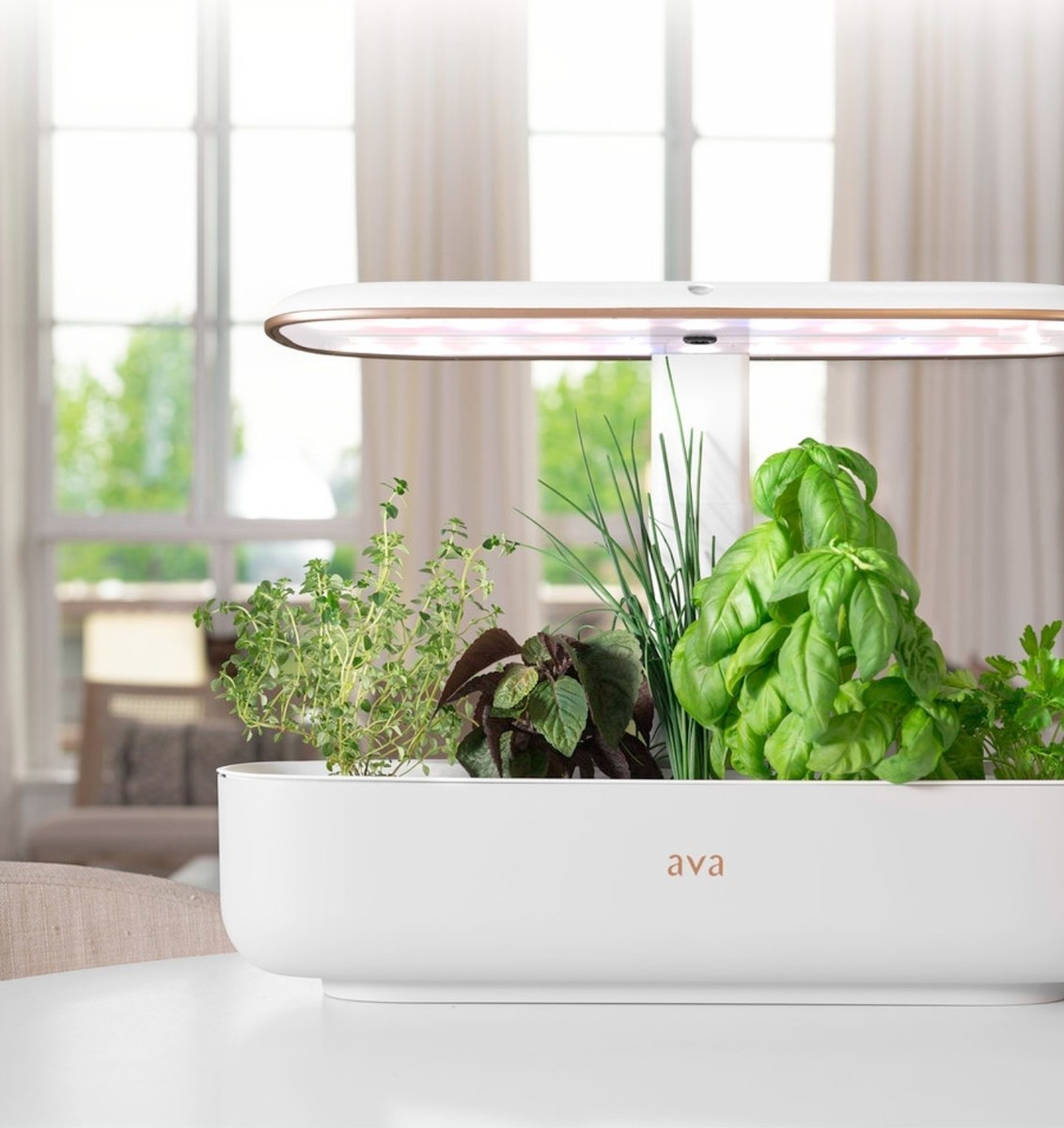 その他 GROWIN Click & Grow Indoor Herb Garden Kit Smart Garden w/AVA BYTE - 9