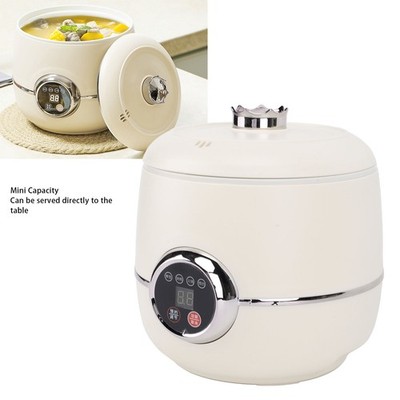 Small Rice Grain Cooker Multifunctional 1.6L Capacity Electric Nonstick Rice SET