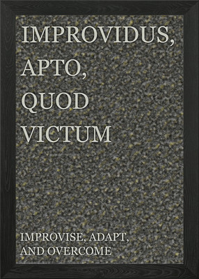 Improvise Adapt Overcome Gerahmtes Wandbild Poster Leinwanddruck Bild