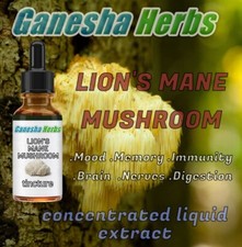 LION'S MANE MUSHROOM High Potency 20:1 Extract Liquid Tincture 2 ounces
