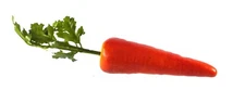Artificial Carrot Orange - Plastic Vegetable Carrots Fake Vegetables