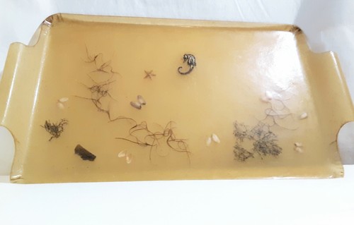 Vintage Fiberglas Serviertablett geformt Intarsien Seepferdchen Seestern Muscheln Meer - Bild 6 von 12