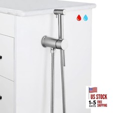 Handheld Bidet Warm Water Sprayer Mounted on The Bathroom Vanity Brushed Nickel