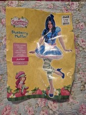 Strawberry Shortcake friend Blueberry Muffins Juniors L 11-13 costume Halloween