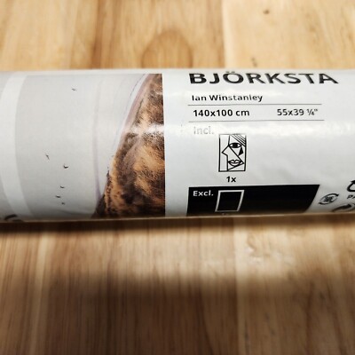 Affiche IKEA BJÖRKSTA – Soirée D'été à Skagen, 55 X 39 1/4 Pouces, Neuve (805.093.77)