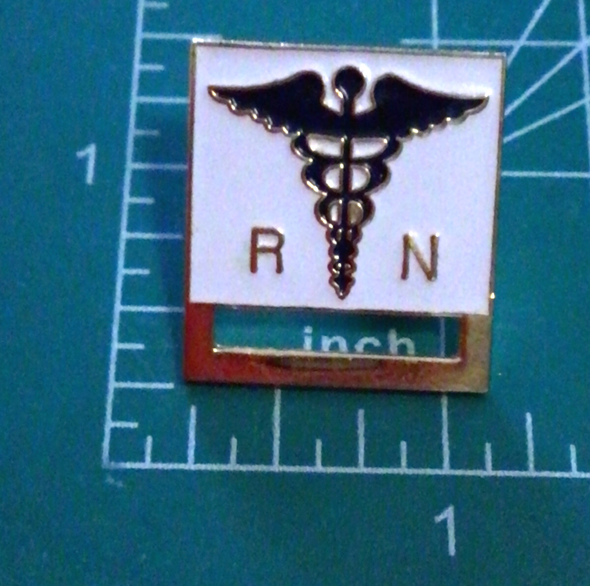 как выглядит Registered Nurse RN Clip Eze Pin Medical фото