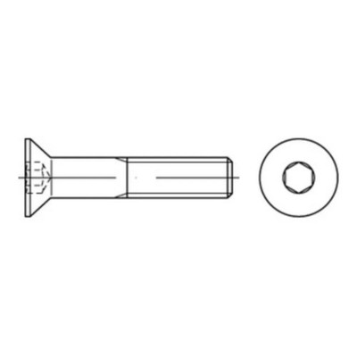 Reyher  Senkschrauben ISO 10642 A 4 M 3 x 30 A 4 (100 Stück)